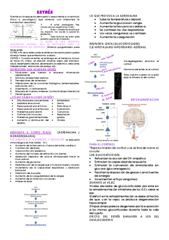 Estres.pdf