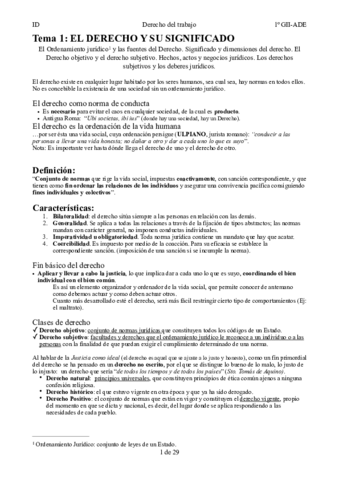 Resumen Completo ID.pdf