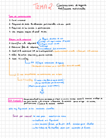 Resumen-t.2-comb.-De-negocios.pdf