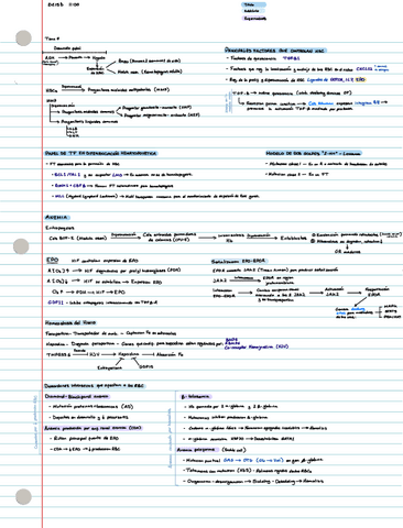 Temas-6-10-Resumenes.pdf