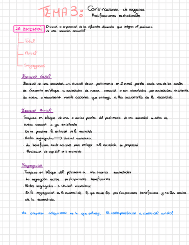 Resumen-t.3-comb.-de-negocios.pdf