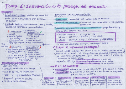 esquemas-desarrollo-tema-1.pdf