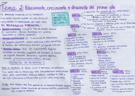 esquemas-desarrollo-tema-2.pdf