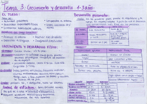 esquemas-desarrollo-tema-3.pdf