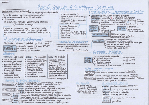 esquemas-desarrollo-tema-6.pdf