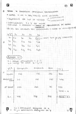 temas-456-estadistica.pdf