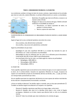 TEMA 5.pdf