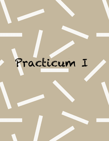 Practicum-l.pdf