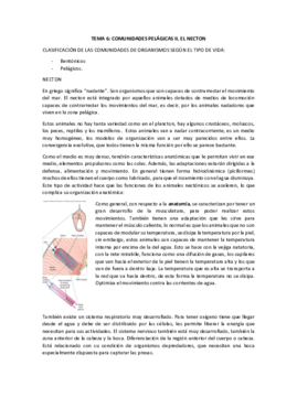 TEMA 6.pdf
