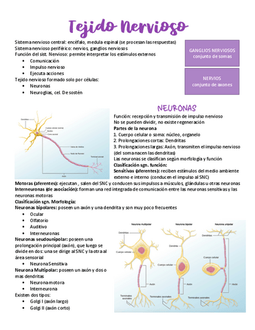 CERTAMEN-3-CLASE-1.pdf