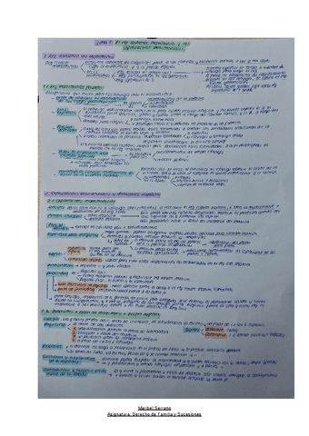 ESQUEMA-TEMA-3-FAMILIA-Y-SUCESIONES.pdf