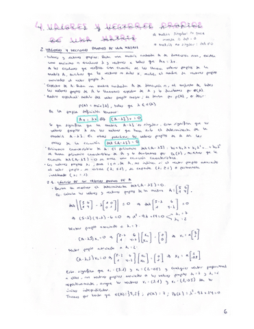 Parte-4-Algebra-Valores-y-vectores-propios-de-una-matriz.pdf