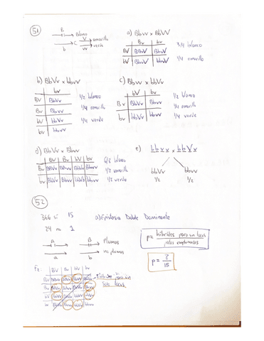 Ejercicios-Genetica-50-fin.pdf