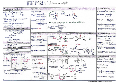 tema-4.pdf