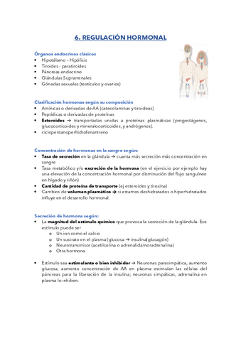 6.-SISTEMA-HORMONAL.pdf