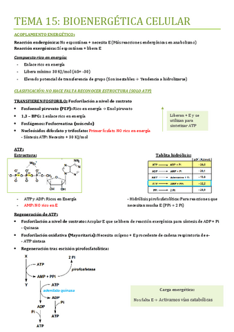 TEMA-15.pdf