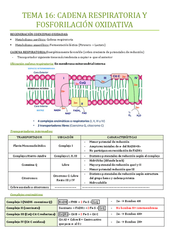 TEMA-16.pdf