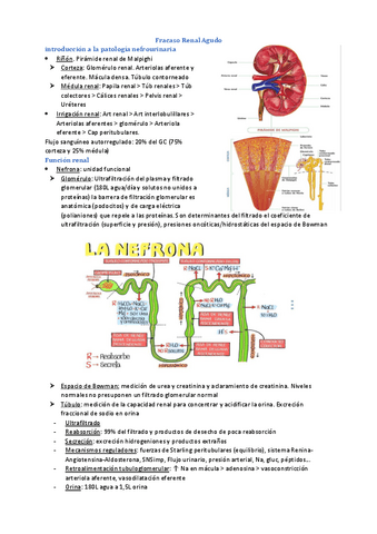 Tema-4-Urgencias.pdf
