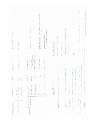 Esquema-sociedades-y-diferencias.pdf