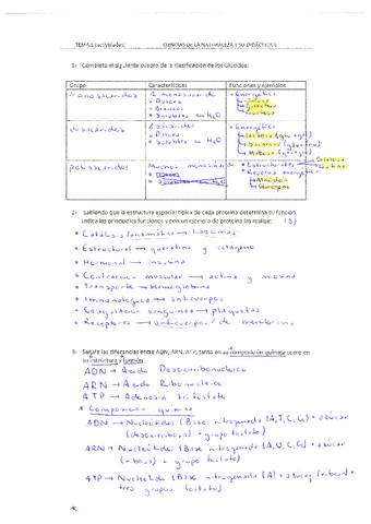 ejercicios-tema-1.pdf