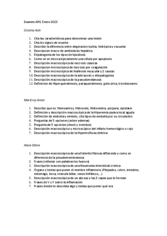 Examen-APG-Enero-2023.pdf