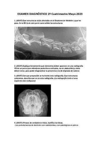 EXAMEN-DIAGNOSTICO-2o-Cuatrimestre-Mayo-2023.pdf