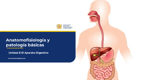 AYPB-UD8-PRESENCIAL-1.pdf