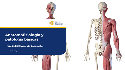 AYPB-U5-MURCIA.pptx.pdf