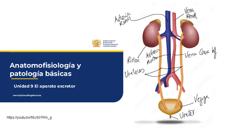 AYPB-UD-9-PRESENCIAL.pptx.pdf