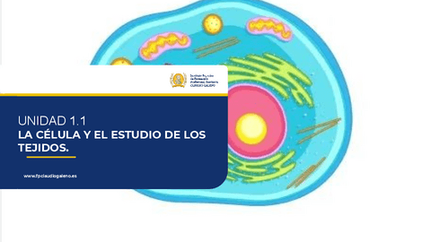 AYPB-1.1-ALUMNOS-.pptx.pdf