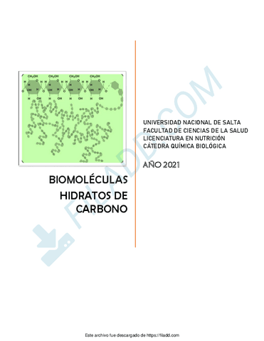 ARCHIVO-8-CARTILLA-DE-HIDRATOS-DE-CARBONO-2021.pdf