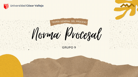 NORMA-PROCESAL.pdf