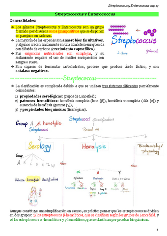 Streptococcus-y-Enterococcus.pdf