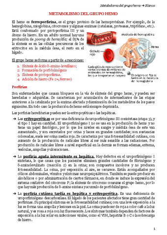 METABOLISMO-DEL-GRUPO-HEMO.pdf