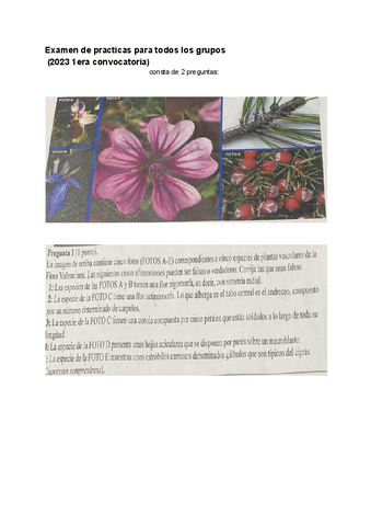 examen-practicas-2023.pdf