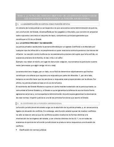 Tema-1-Jurisdiccional.pdf