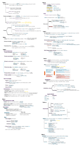 ESQUEMA-PSICODIAGNOSTICO.pdf