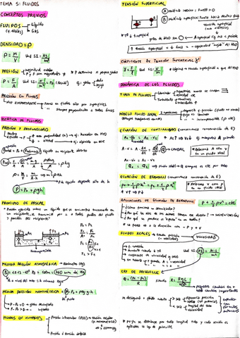 FF-Tema-5-Fluidos.pdf