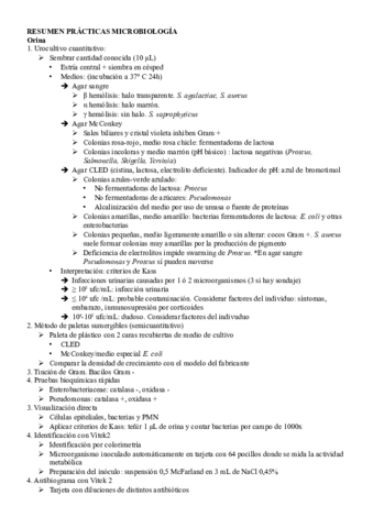 resumen prácticas.pdf