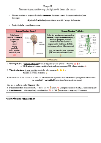 SALUD-TEMARIO-COMPLETO.pdf