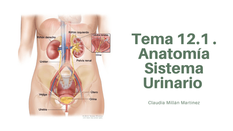 Esquema-resumen-tema-12.1.pdf