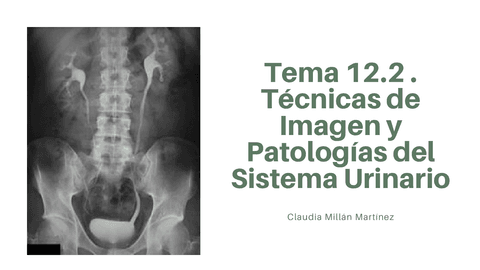Esquema-resumen-Tema-12.2.pdf
