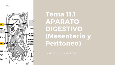 Esquema-Resumen-Tema-11.1.pdf