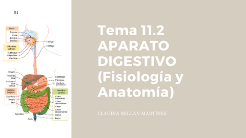 Esquema-Resumen-Tema-11.2.pdf