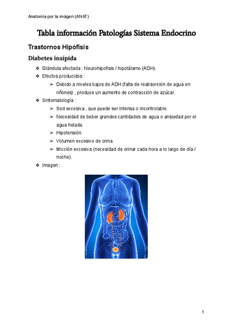 Tabla-sistema-endocrino-patologias-tema-13.pdf