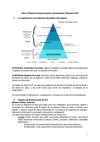 Tema-1Sistemas-transaccionales-y-decisionales-Sistemas-OLAP.pdf
