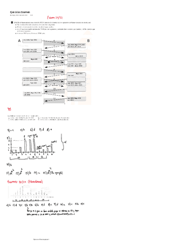 Ejercicios-Examen-Primer-Parcial.pdf