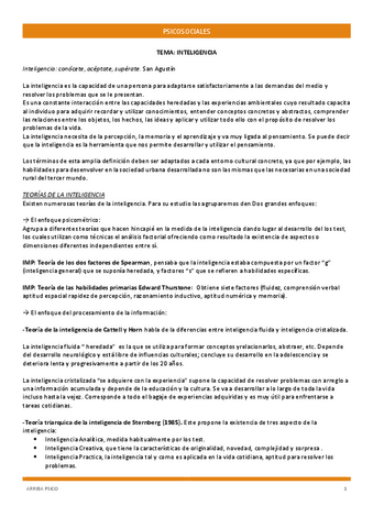 INTELIGENCIA.pdf