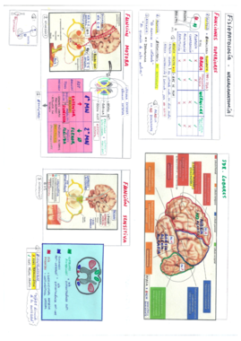 Neurología.pdf