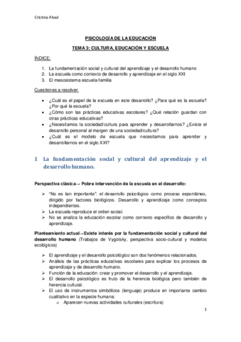 Tema 3 educacion.pdf